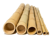 10' Large Diameter Bamboo Poles from 2" to 6.5" Diameter