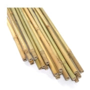 8' × 18-20mm Natural Bamboo Poles(50poles)