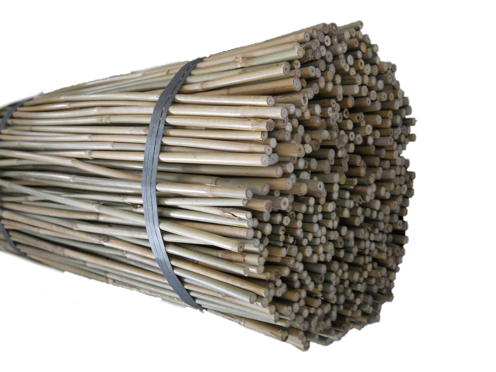 5' × 8-10mm Natural Bamboo Poles