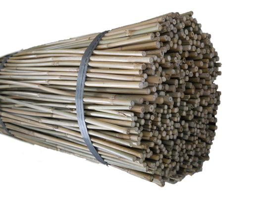 1.5' × 5-7mm Natural Bamboo Poles (1000poles)