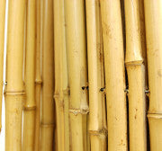 Natural Bamboo Fence ¾" D x 36" H x 96" L
