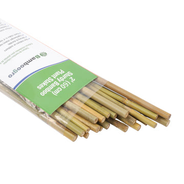 Natural Bamboo Poles,2-Feet Bamboo Stakes-Pack of 25 Bamboo Sticks